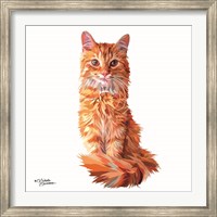 Cat Fine Art Print