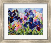 The Iris Show Fine Art Print