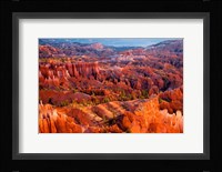 Morning Light Fine Art Print