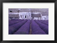 Lavender Abbey Fine Art Print