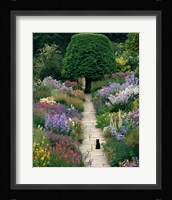 The Garden Cat Framed Print