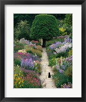 The Garden Cat Fine Art Print