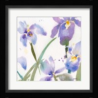 Irises Fine Art Print