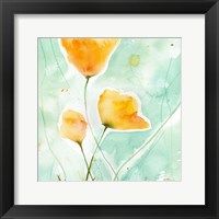 Precious Poppies Fine Art Print