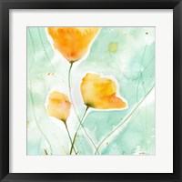 Precious Poppies Fine Art Print