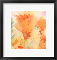 Windblown Poppies #2 Framed Print