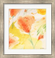 Windblown Poppies #3 Fine Art Print