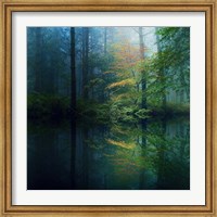 The Forest Fine Art Print