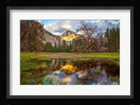 A Mother's Tree Fine Art Print