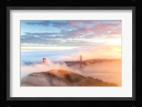 Arrival Fine Art Print