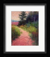 Magenta Fine Art Print