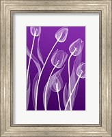 X-ray Flowers Purple Fine Art Print