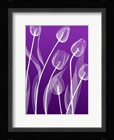 X-ray Flowers Purple Fine Art Print