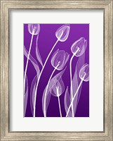 X-ray Flowers Purple Fine Art Print