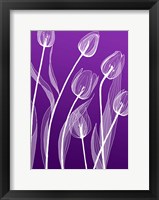 X-ray Flowers Purple Fine Art Print