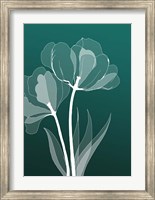 X-ray Flowers Green Fine Art Print