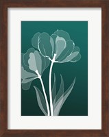X-ray Flowers Green Fine Art Print