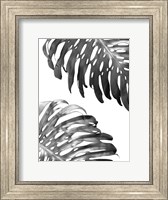 Double Philodendron (BW) Fine Art Print