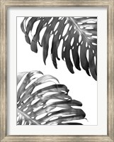 Double Philodendron (BW) Fine Art Print