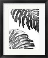 Double Philodendron (BW) Fine Art Print