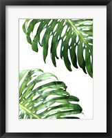Double Philodendron (color) Fine Art Print