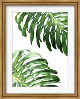 Double Philodendron (color) Fine Art Print