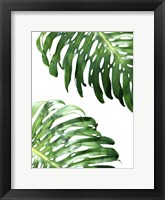Double Philodendron (color) Fine Art Print