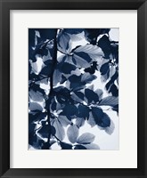 Indigo Leaves Fine Art Print