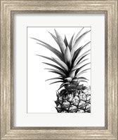 Pineapple (BW) Fine Art Print