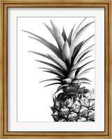 Pineapple (BW) Fine Art Print