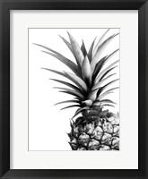 Pineapple (BW) Fine Art Print
