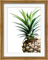 Pineapple (color) Fine Art Print