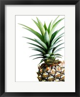 Pineapple (color) Fine Art Print