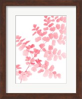 Pink Maidenhair Fine Art Print