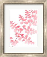 Pink Maidenhair Fine Art Print