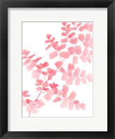 Pink Maidenhair Fine Art Print