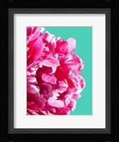 Pink Peony Fine Art Print