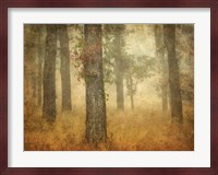 Oak Grove in Fog Fine Art Print