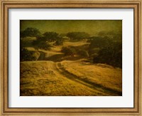 Ranch Road and Oak Savannah Fine Art Print