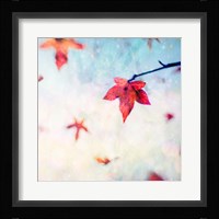 All Fall Down Fine Art Print