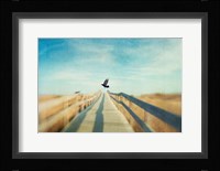 Fly Fine Art Print