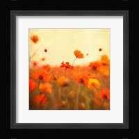 Orange Happiness Fine Art Print