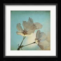 Spring Sings Fine Art Print