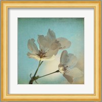 Spring Sings Fine Art Print