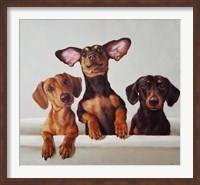3 Amigos Fine Art Print