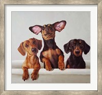 3 Amigos Fine Art Print