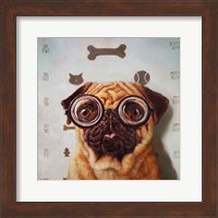 Canine Eye Exam Fine Art Print