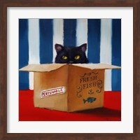 Cat Burglar Fine Art Print