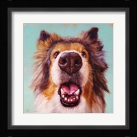 Follow Your Nose 9 Fine Art Print