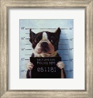 Mug Shot Fine Art Print